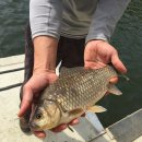 행복 낚시터 이미지