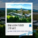 OK카프라자 | 📢 [6-7월 한정 특가] KE항공 COOL 앗피고원 리조트 골프!⛳️✨