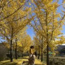 화서(영덕) 이미지