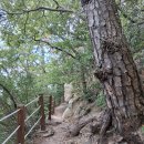 %%%%% 헬조선? 아프리카에 와서 몇달만 살아보라 %%%%% 이미지