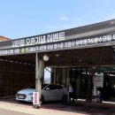 샤인랩디테일링