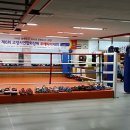 정함체육관 이미지