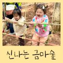 금마어린이집 이미지