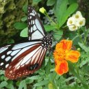 스마트보청기 청각언어센터 이미지