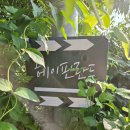 가평핀란드하우스 | 가평펜션 헤이핀란드 후기｜애견동반 가능한 계곡옆 숙소, 핀란드식 사우나에 수영장까지 완벽!