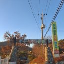 방주 농원 펜션 이미지