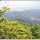 장성수산 이미지