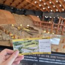 명동관광정보센터 | 뚜벅이 여행 후기]2026.03.27 2일차(금관총-신라고분정보센터-오아르 미술관-성동시장-박용자 경주명동...