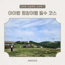 푸른비목장 | 7살 아이와 평창 여행, 대관령 하늘목장에서 힐링하기