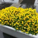 미란다당구장 이미지