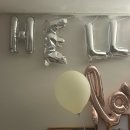 마더스동물병원 | 신생아 22-23일차 : 아기 삼칠일 결과발표