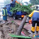 가로수주유소 이미지