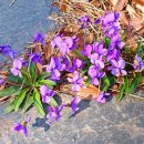 동양굿모닝영상의학과의원 이미지