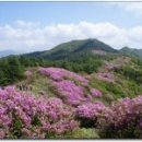 2016년 철쭉산행8선 이미지