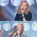 퍼펄즈 카카오 검색결과