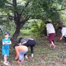 가족사랑체험펜션 이미지