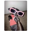 라이즈 안경원 | 유성구 안경점] 정찰제로 운영하며 최신 검안기기로 더 정밀한 1:1 개인 맞춤 안경점, 안경온 방문 후기