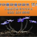 부흥부동산공인중개사사무소 이미지