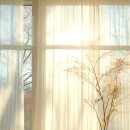 지니 나비 이미지