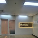 (주)부토자원 | 매일매일기록하기챌린지#4_11.17.금: SE(Somatic Experiencing) 집단상담 참여/더현대/여의도한강공원...