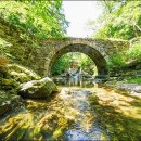 2025 세계유산축전-선암사·순천갯벌 이미지