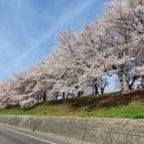 센트럴게임장 이미지