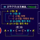 성경의 어휘 연구] 93. '셈'은 노아의 '맏아들'인가? | 이미지
