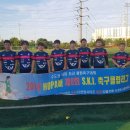 베리어스 Daum카페