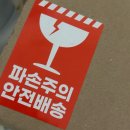 꼬까나무화훼직매장 | 여름맞이