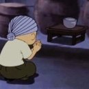 고성국화꽃향기 이미지