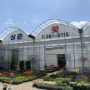 상춘꽃농원 네이버블로그
