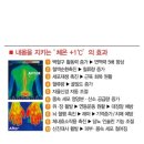 신원당찜질다이어트
