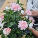 인천여성의광장 | 인천여성의광장 화훼장식기능사 수강생모집~ 합격률100%