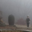 하나종묘 이미지