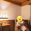 무주 덕유산 리조트 호텔티롤 프리미어룸 숙박 후기:눈구경,커플여행 추천
