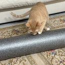 하드스포츠 | 스트레칭에 좋은 하드폼롤러 추천 멜킨스포츠 epp 폼롤러 90cm, 실리콘 마사지볼 후기