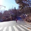 요산 김정한문학비 이미지