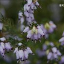 환희 | 부산요양원 환희노인요양원 부산 사하구 신뢰할 수 있는 요양원