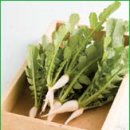 싱싱반찬 이미지