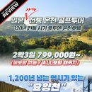 사가온천 올포함 골프 항공팩「79.9만원~」 2박3일 기준, 2인가능 이미지