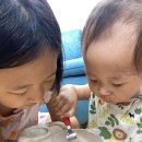블러섬랜드 | 4인 가족 유후인 료칸 + 후쿠오카 숙소 정하기 (초등아이와 19개월 아기 동반)