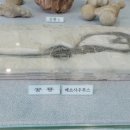 거제해양레포츠센터 이미지