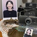 헤미패션 | 인생증명사진 찍는 곳 | 종로 다시봄 사진관 후기 (증명 여권사진 잘 찍는 곳)