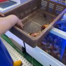 11545-08-00-47 | 강원도 1박2일 숙소 맛집 추천｜삼척｜묵호｜동해