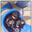 심원초등학교병설유치원 이미지