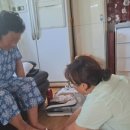 뉴고흥마트 네이버블로그