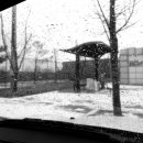 백석생활체육공원 축구장 이미지