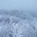 옥룡GS마켓 이미지