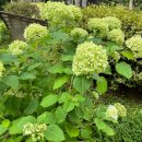 강동우정신건강의학과의원 이미지