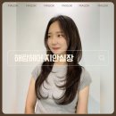 마곡미용실 해람헤어 지안실장님께 받은 하이레이어드 허그펌 + 뿌리아이롱펌 후기 ✂️